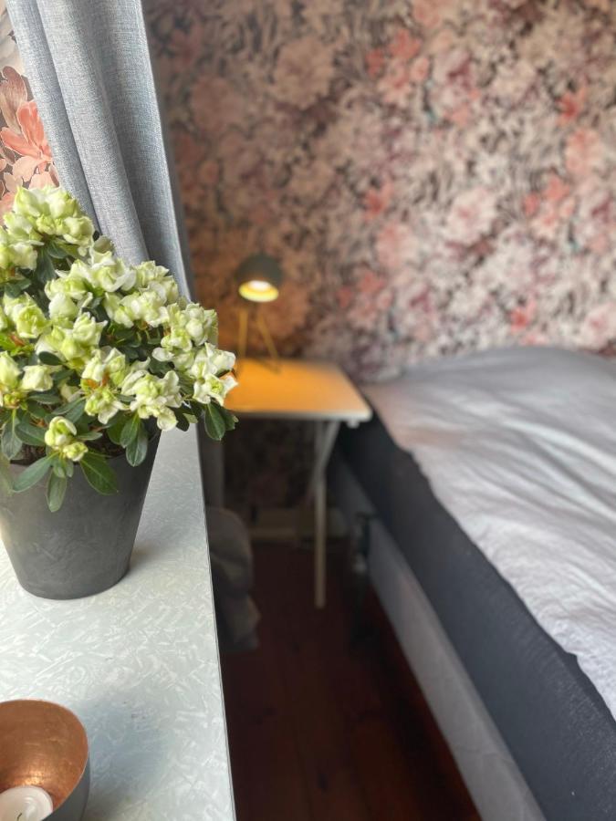 Апартаменти Retro Bolig - Fyldt Med Hygge! Ingen Luksus Kolind Екстер'єр фото